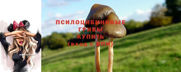 каннабис Инта