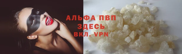 каннабис Инта