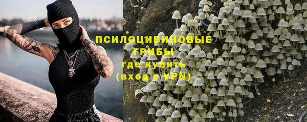 дживик Инсар