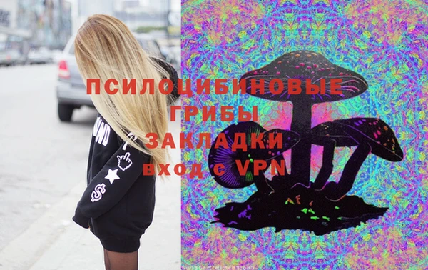 каннабис Инта
