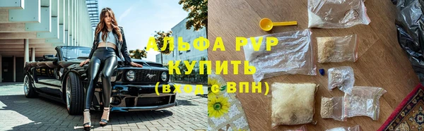 дживик Инсар