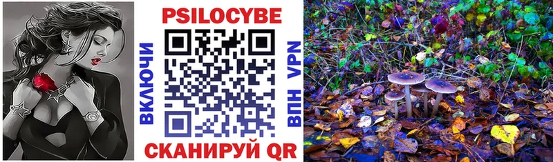 Купить где  Чистополь  Псилоцибиновые грибы MAGIC MUSHROOMS 